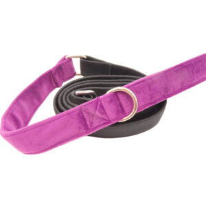 Fig Velvet Leash